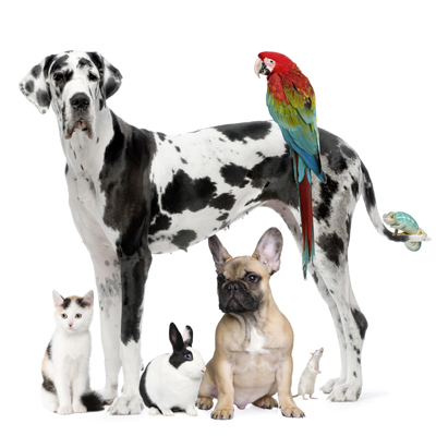 Redkey Veterinary Clinic in Redkey, 